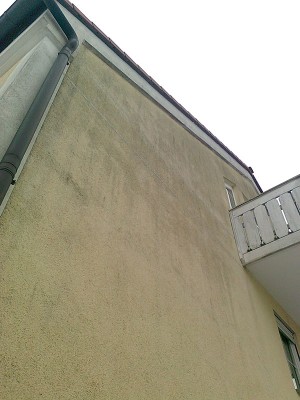 schimmelbefall_fassade2